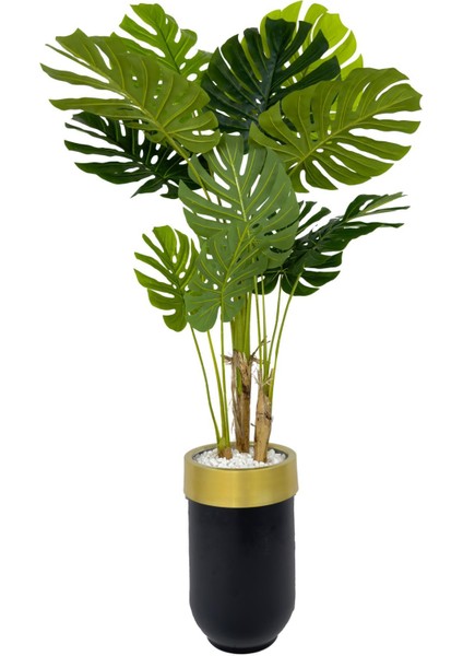 Monstera Ağacı 170CM Siyah Gold Metal Darbuka Saksıda