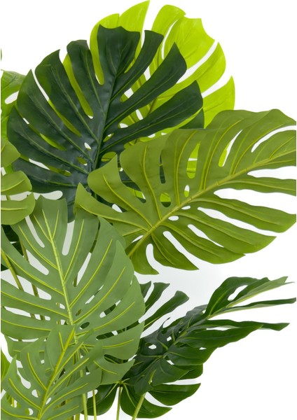 Monstera Ağacı 170CM Siyah Gold Metal Darbuka Saksıda fiyatları