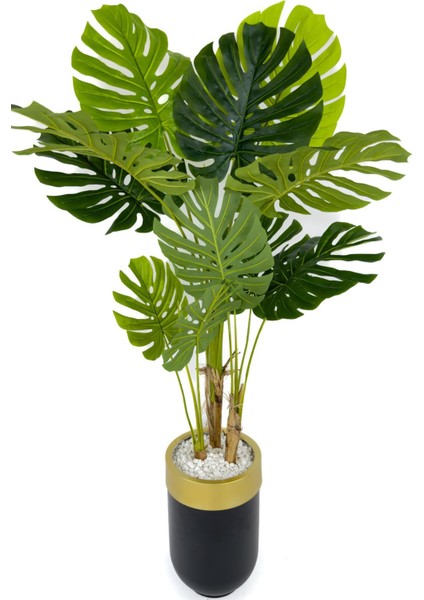 Monstera Ağacı 170CM Siyah Gold Metal Darbuka Saksıda fırsatları