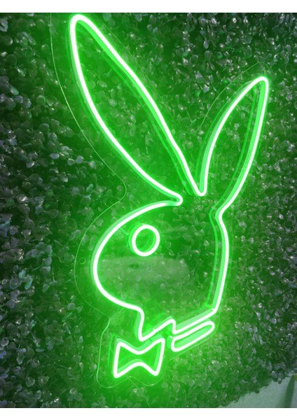 Playboy Neon LED AYDINLATMA(40X30CM)