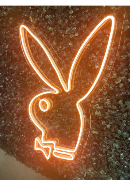 Playboy Neon LED AYDINLATMA(40X30CM)