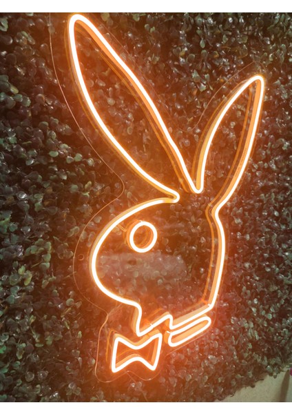 Playboy Neon LED AYDINLATMA(40X30CM)