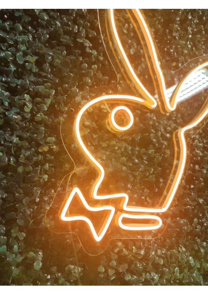 Playboy Neon LED AYDINLATMA(40X30CM)