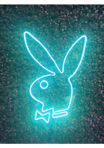 Playboy Neon LED AYDINLATMA(40X30CM)