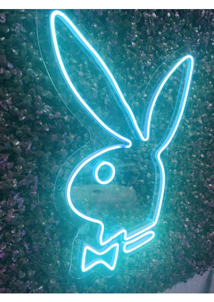 Playboy Neon LED AYDINLATMA(40X30CM)