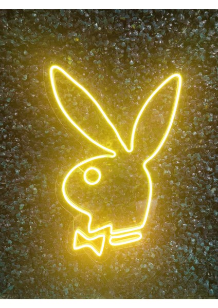 Playboy Neon LED AYDINLATMA(40X30CM)