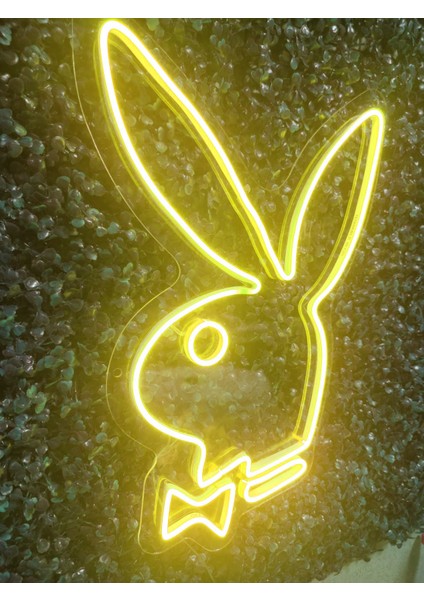 Playboy Neon LED AYDINLATMA(40X30CM)