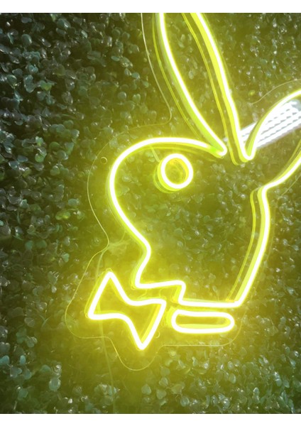 Playboy Neon LED AYDINLATMA(40X30CM)