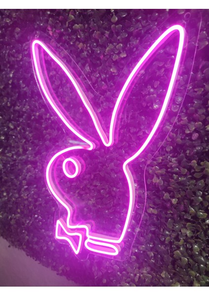 Playboy Neon LED AYDINLATMA(40X30CM)