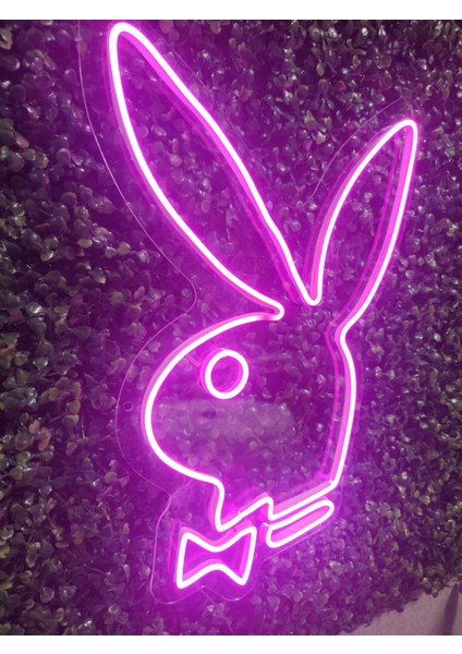 Playboy Neon LED AYDINLATMA(40X30CM)