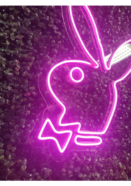 Playboy Neon LED AYDINLATMA(40X30CM)