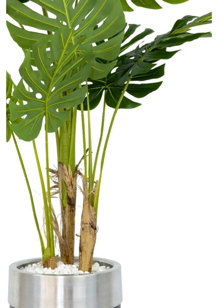 Monstera Ağacı 170CM Siyah Gümüş Metal Darbuka Saksıda fırsatları