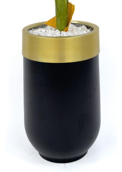 Areka Palmiyesi 170CM Metal Siyah Gold Darbuka Saksıda fırsatları