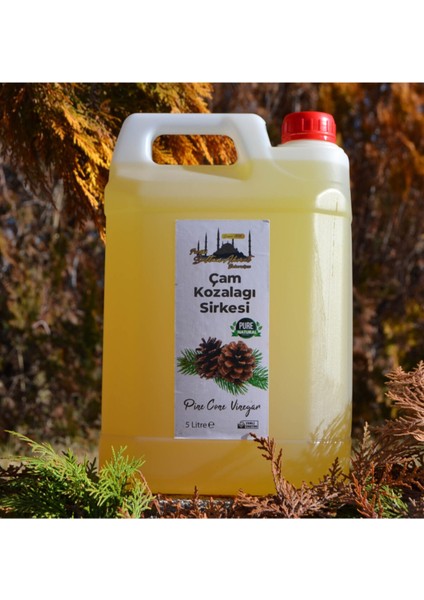 Çam Kozalağı Sirkesi 5lt