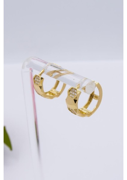 14 Ayar Altın Halka Küpe Taşlı Tasarım Kadın Küpe modelleri