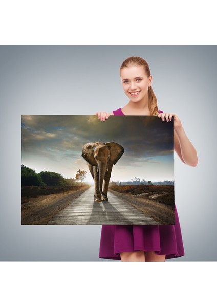 Fil Dekoratif Kanvas Tablo 1118 fırsatları