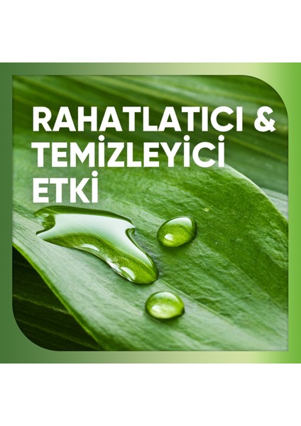 Nourish Rahatlatıcı Etki Diş Macunu 75 ml