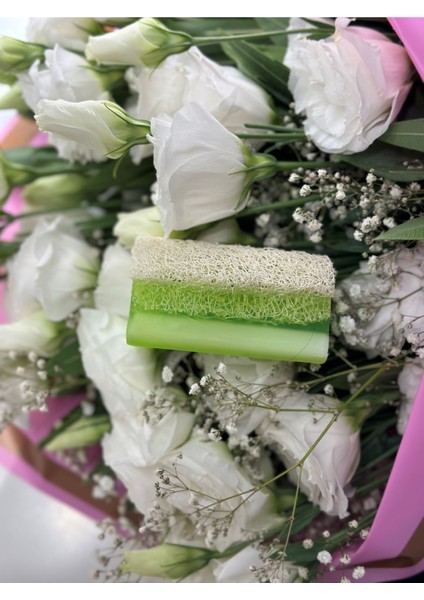 Doğal Kabak Lifli Aloe Vera Sabunu