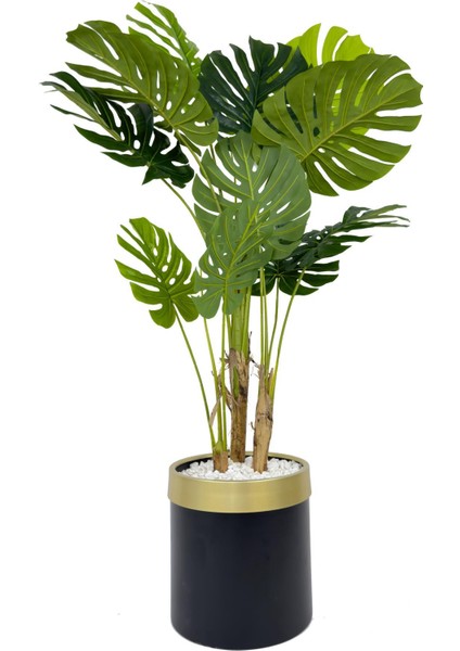 Monstera Ağacı 160CM Siyah Gold Metal Saksıda