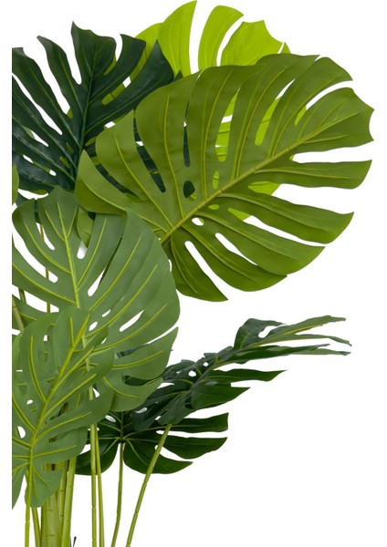 Monstera Ağacı 160CM Siyah Gold Metal Saksıda fırsatları