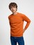 Erkek Sweatshirt Turuncu LF2034268 1