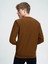 Erkek Sweatshirt Kahverengi LF2025441 4