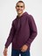 Erkek Sweatshirt Mor LF2034269 1