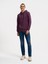 Erkek Sweatshirt Mor LF2034269 2