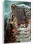 Leopar Cam Tablo 2