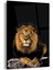 Aslan Cam Tablo 2