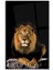 Aslan Cam Tablo 3