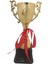 Sepeti Plastik Ödül Kupası Başarı Kupası Kupa Gold Renk 1