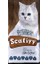 Yavru Kedi Maması 12 kg 1