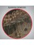 Robert Gibb'in Ince Kırmızı Çizg Tablosu -The Thin Red LINE-6602 5