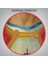 Isa'nın En Kutsal Kalbi Tablosu - The Most Sacred Heart Of JESUS-6478 5