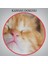 Yavru Kedi Dekoratif Kanvas Tablo 1125 5