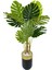 Monstera Ağacı 170CM Siyah Gold Metal Darbuka Saksıda 4