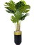 Monstera Ağacı 170CM Siyah Gold Metal Darbuka Saksıda 5
