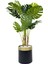 Monstera Ağacı 160CM Siyah Gold Metal Saksıda 1