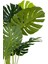 Monstera Ağacı 160CM Siyah Gold Metal Saksıda 4
