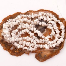 Taş Sandığı Havlit Taşı Kırık Dizi