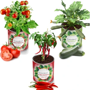 Konserve Bahçem Domates + Acı Biber + Kabak 3'lü Yetiştirme Kiti