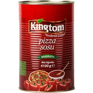 Baharatlı Pizza Sosu 4 kg