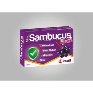 Sambucus Special Pastil 24
