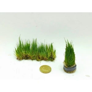 Akvaryum Bitkileri Mini Parvula