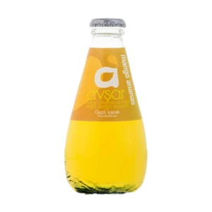Mango-Ananas Maden Suyu - 24'lü