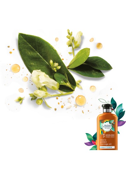 Herbal Şampuan Altın Moringa Yağı 400 ml & Saç Bakım Kremi 360 ml