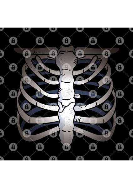 Chest Skeleton Design Kupa Bardak