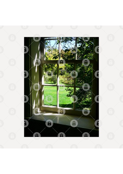 Summer - Summer Day Through The Window Kupa Bardak