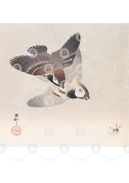 Tree Sparrow By Ohara Koson Kupa Bardak